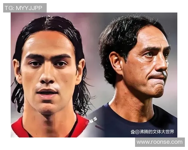 《绿茵场上的传奇足坛巨星传记》